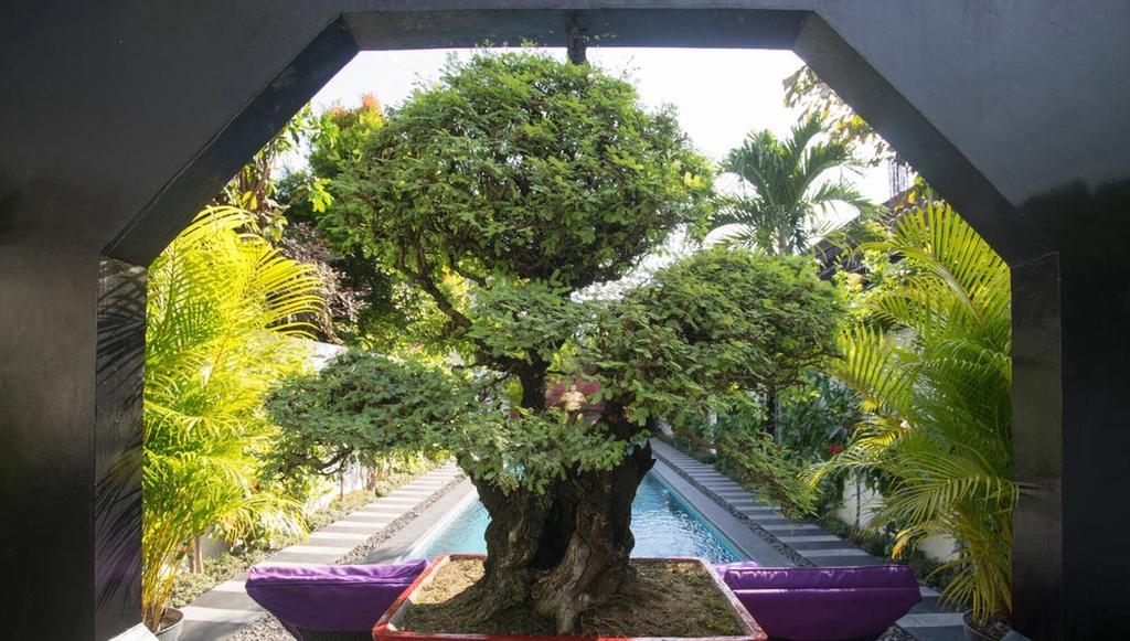 Bonsai Villas Семиньяк Номер фото